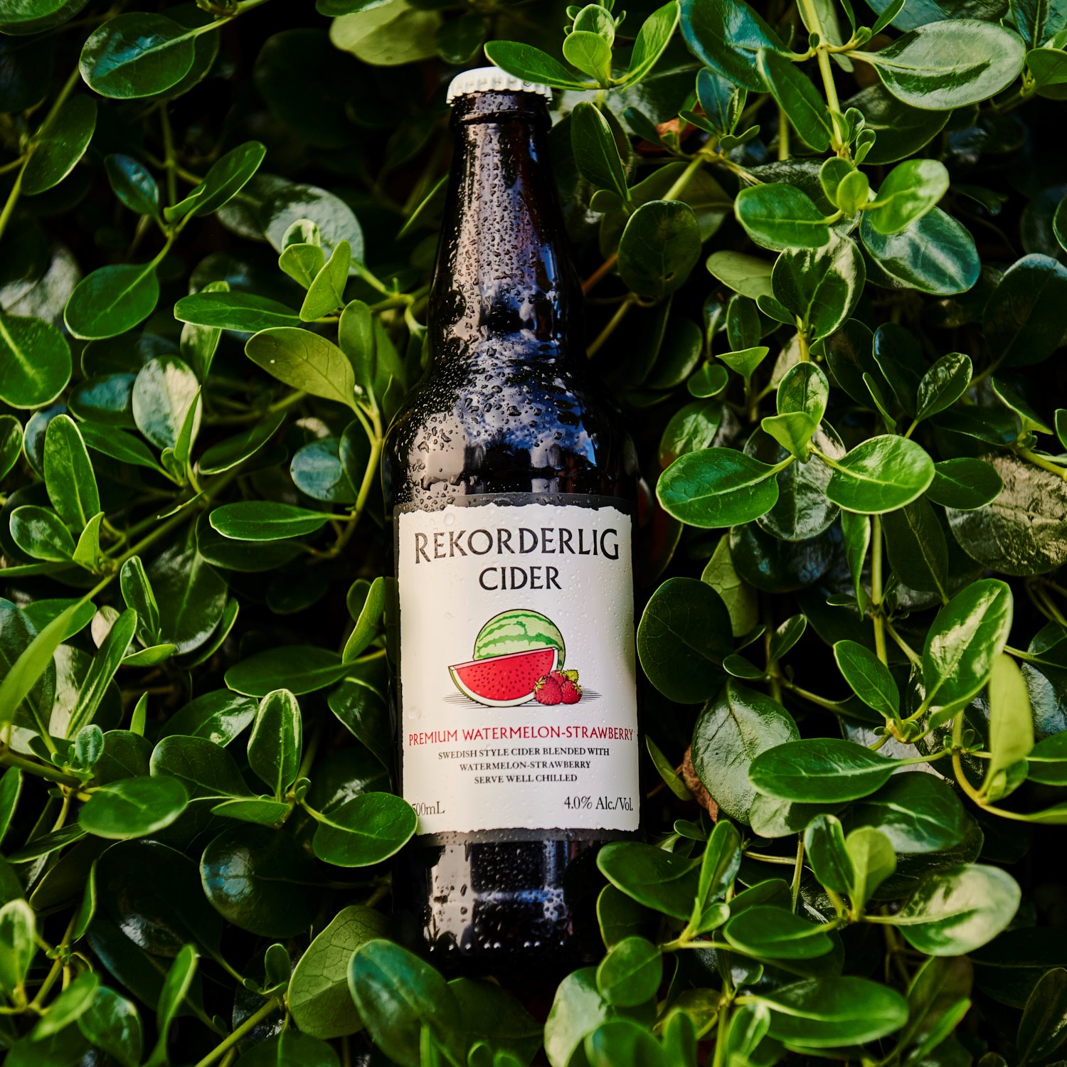 Rekorderlig Updates 14